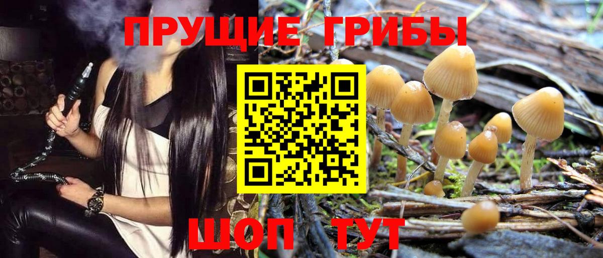 Галлюциногенные грибы ЛСД  продажа наркотиков  Вход с VPN  Коломна  Псилоцибиновые грибы мухоморы 